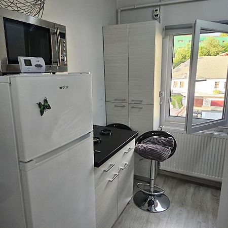 Garsoniera Regim Dni Apartment เปโตรชานิ ภายนอก รูปภาพ