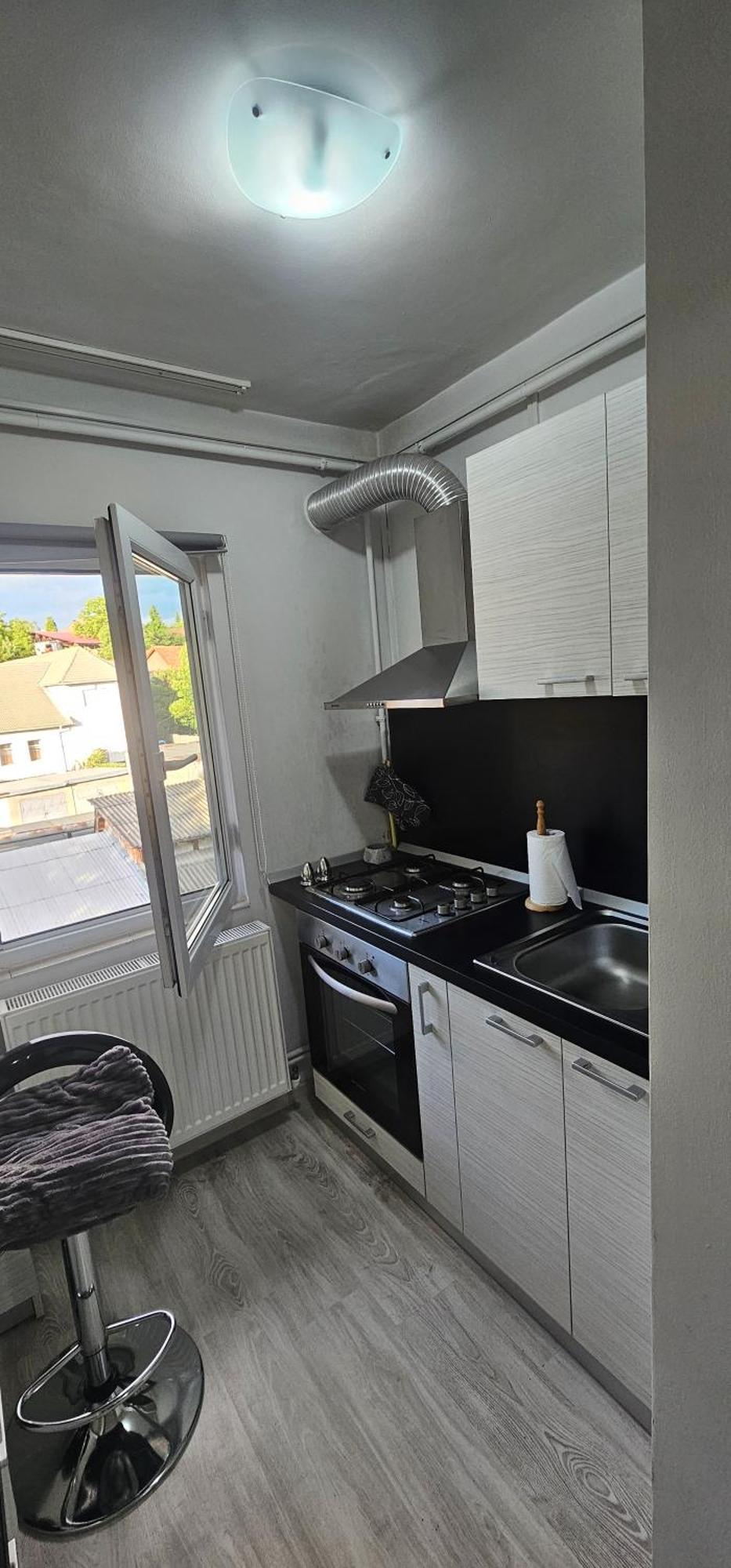 Garsoniera Regim Dni Apartment เปโตรชานิ ภายนอก รูปภาพ